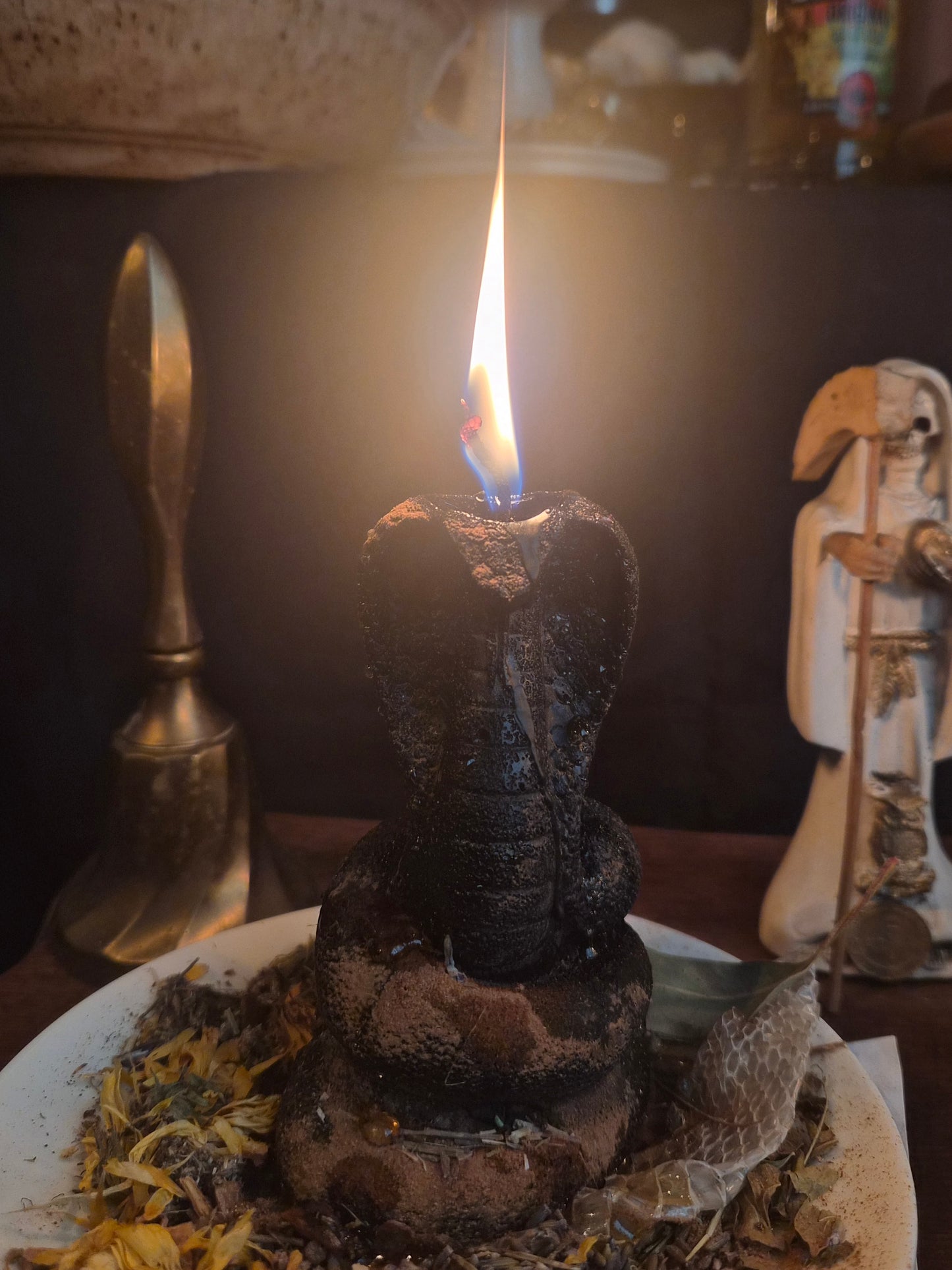 Bougie Serpent - Protection, Transformation & Travail Spirituel